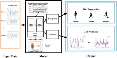 Gait Neural Network for Human-Exoskeleton Interaction
